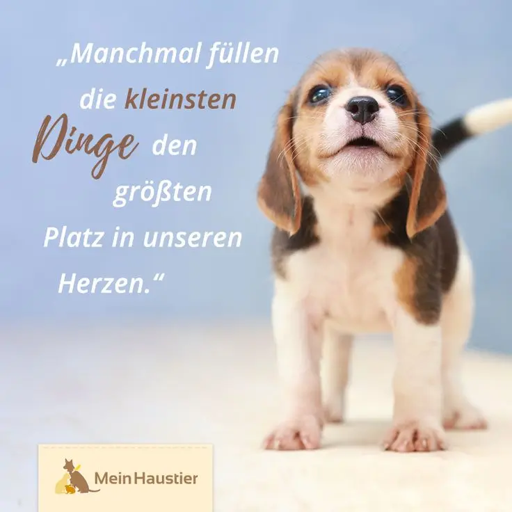 Condolence image of M + P ❤️❤️