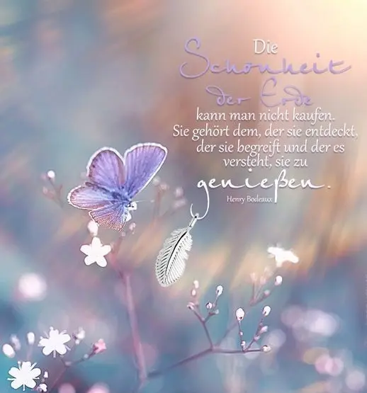 Condolence image of Lupo für Fiby 