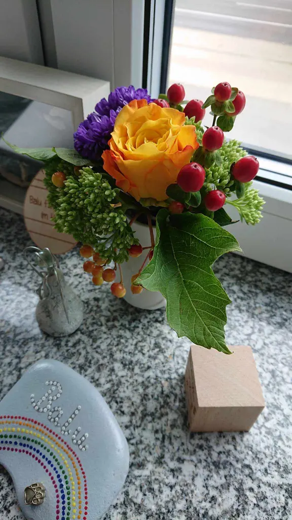 Condolence image of Für Fiby 