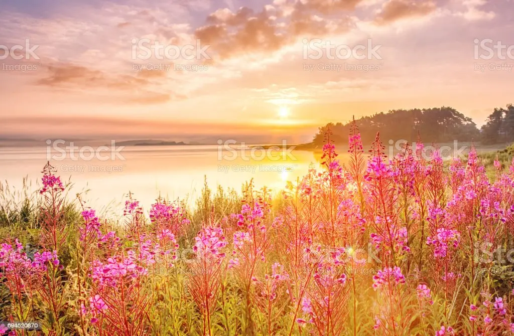 Condolence image of ASKO ❤ f. Fiby ❤ 