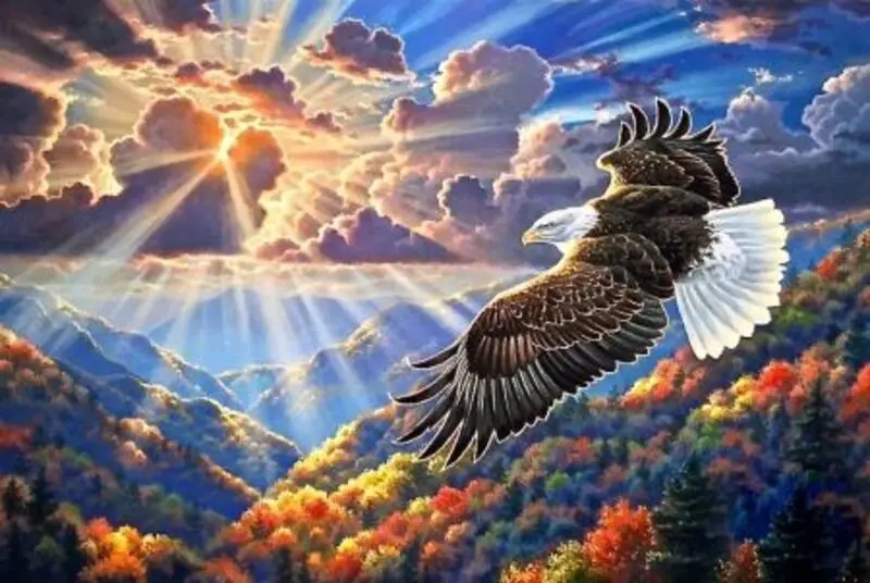 Condolence image of ❤️