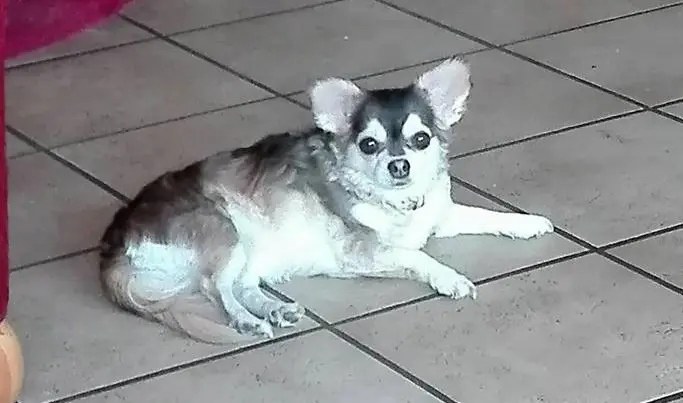 Condolence image of Ina Erberich