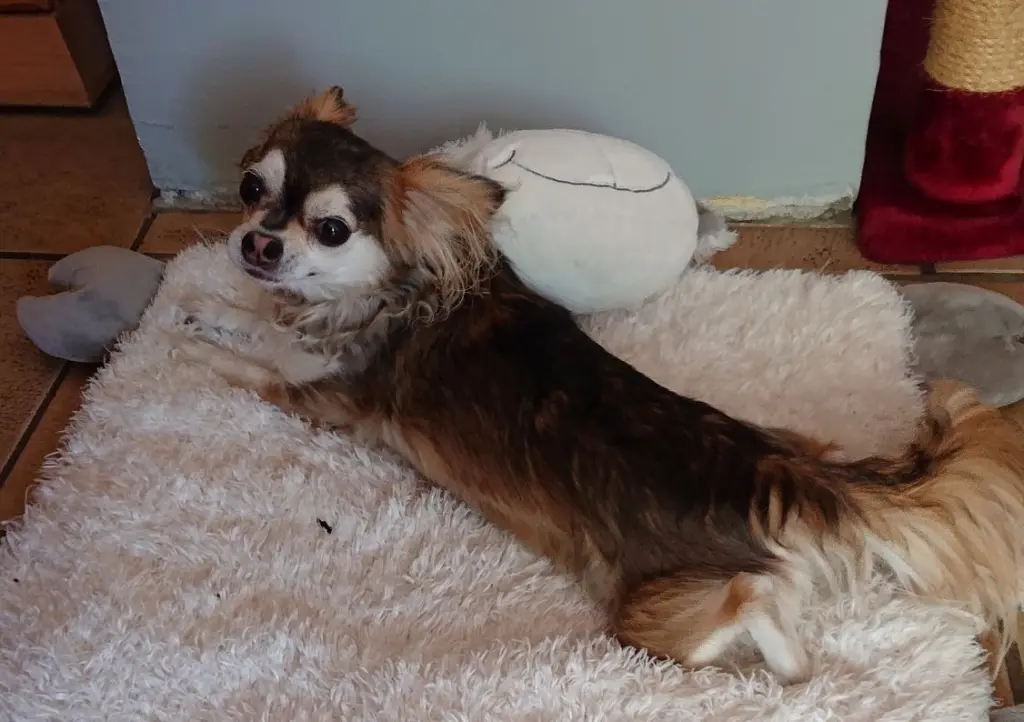 Condolence image of Ina Erberich