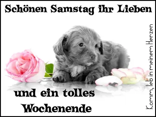 Condolence image of Claudia/ASKO ❤ 