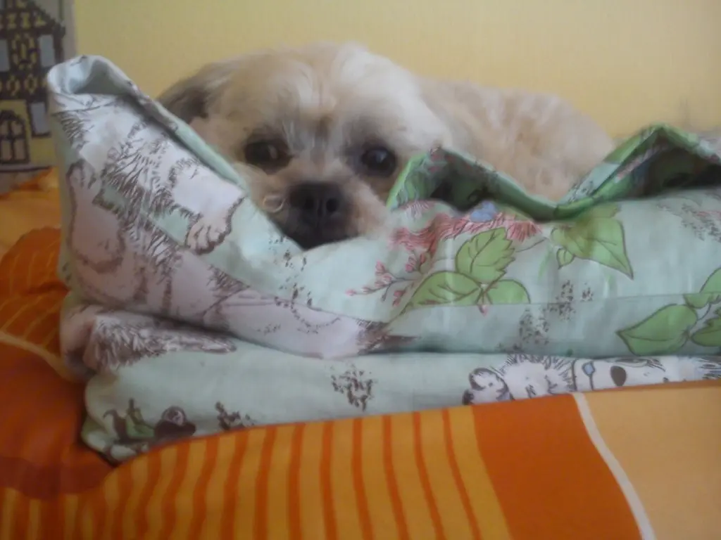 Condolence image of Katrin und Andreas