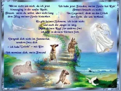 Condolence image of Claudia/ASKO ❤ 