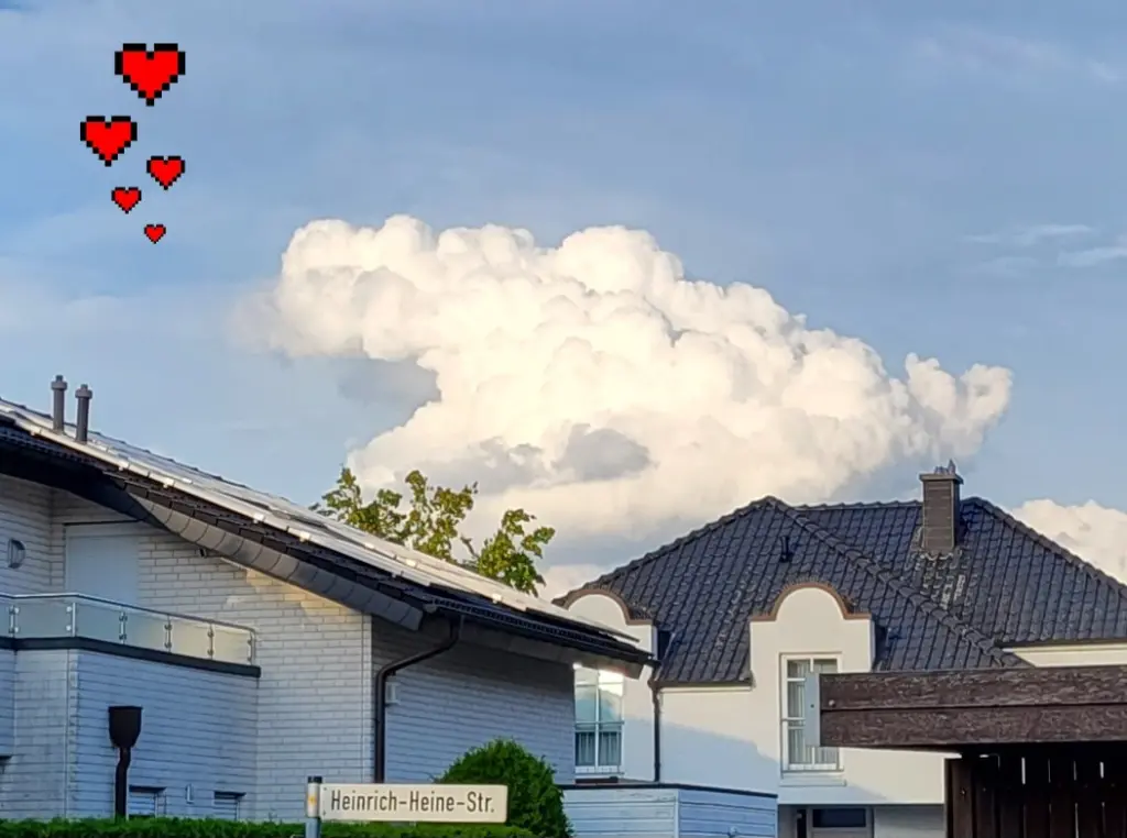 Condolence image of M + P ❤️❤️