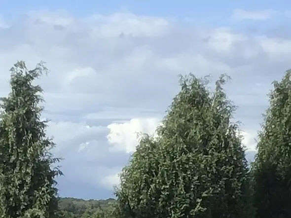 Condolence image of ❤️Luna❤️