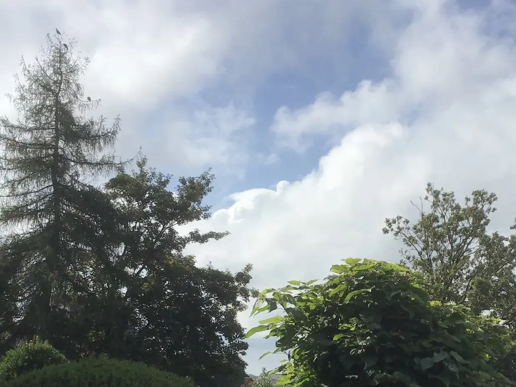 Condolence image of ❤️Wochenendgrüße❤️