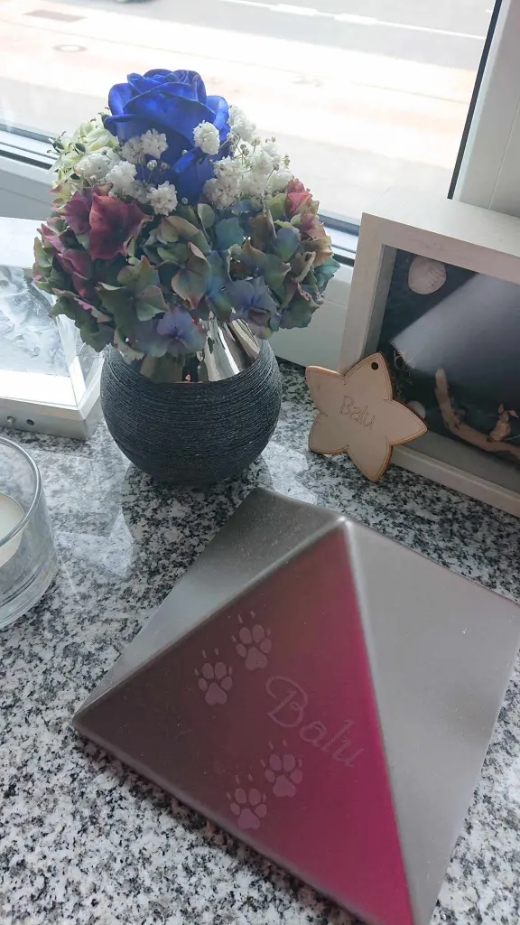 Condolence image of ❤️