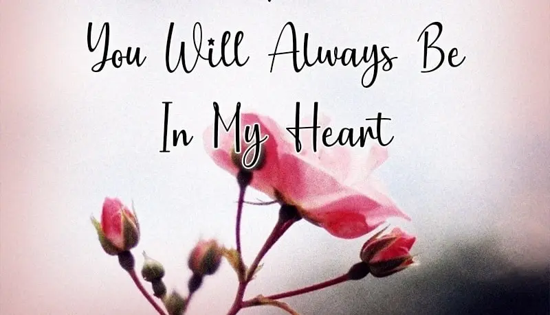 Condolence image of Für Fiby ❤️