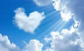 Condolence image of M + P ❤️❤️