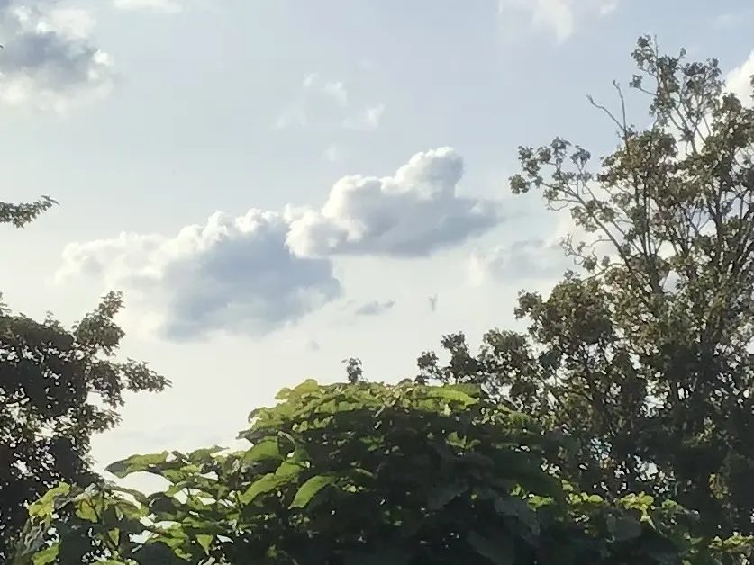 Condolence image of ❤️ Luna ❤️