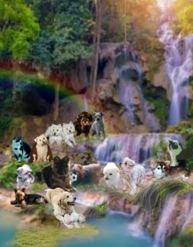 Condolence image of ❤️❤️