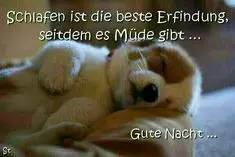 Condolence image of ASKO ❤ 