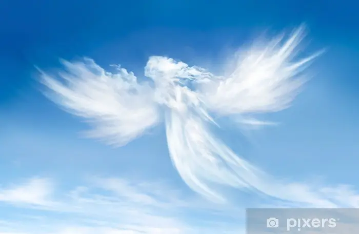 Condolence image of Angelika mit Luna tief im ❤️