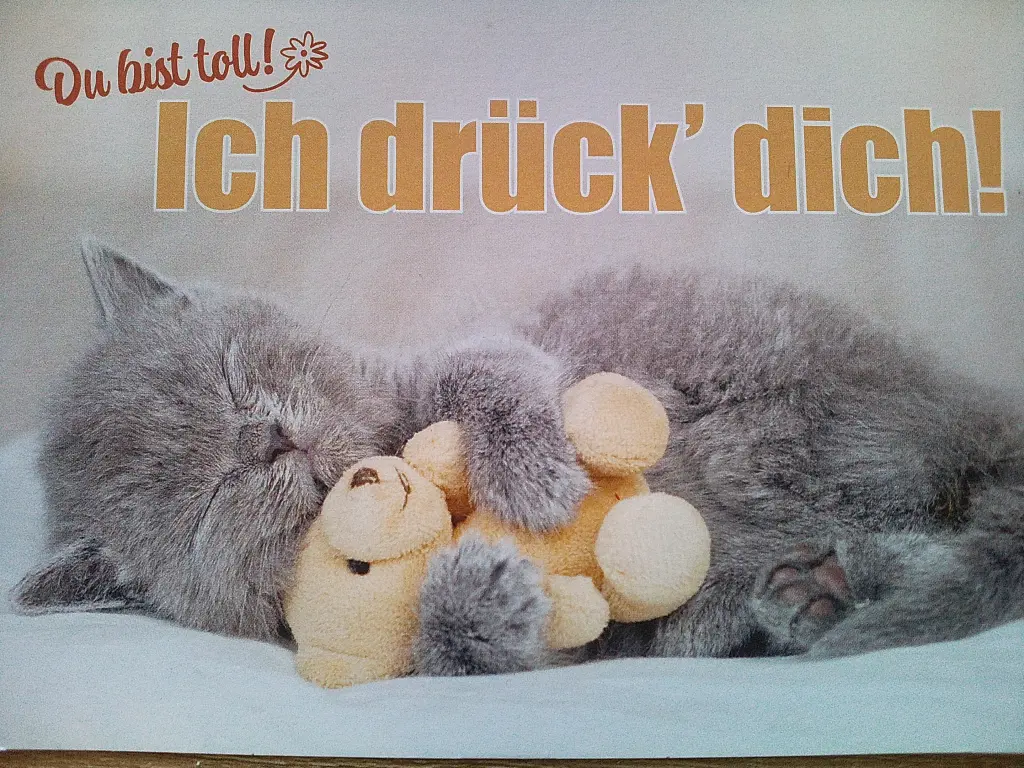 Condolence image of Manuela mit Seelenhund Flick