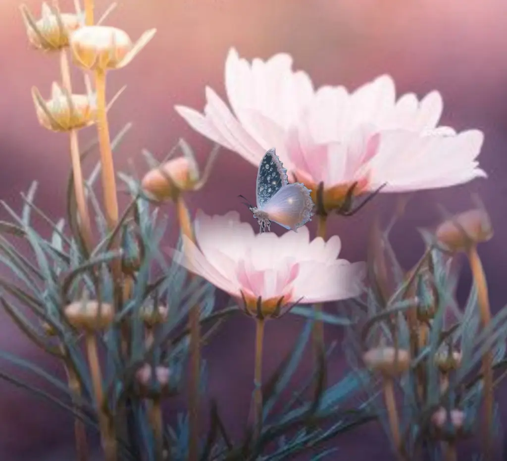 Condolence image of ❤️❤️