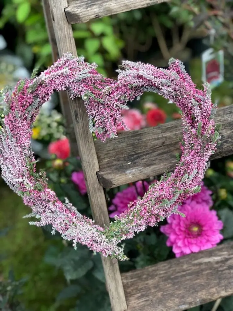 Condolence image of Fiby für Manuela ❤️