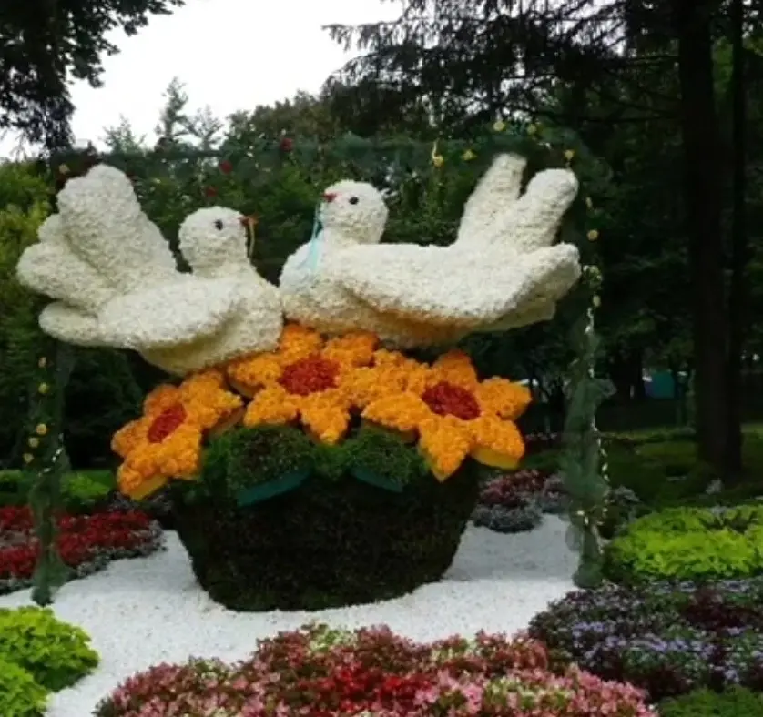 Condolence image of ❤️Einmal Himmel und zurück ❤️