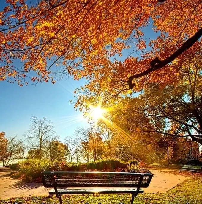 Condolence image of ❤️Sehnsucht im Herzen ❤️