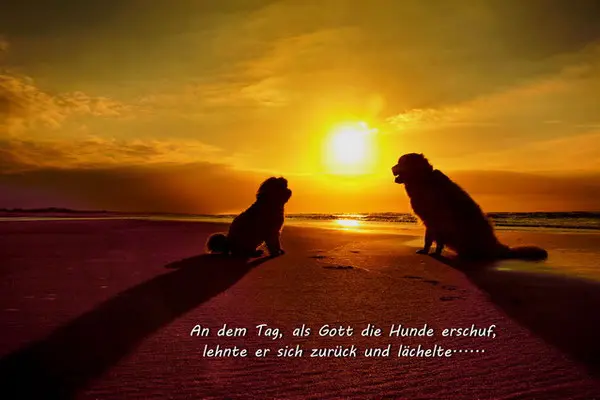 Condolence image of Claudia/ASKO ❤