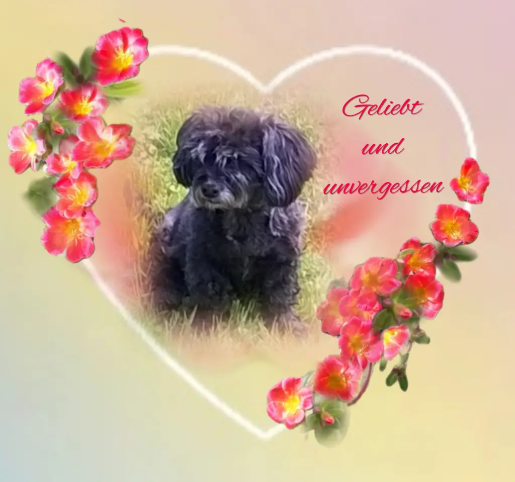 Condolence image of ❤️❤️