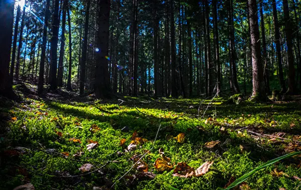 Condolence image of ASKO ❤ f. Fiby ❤ 