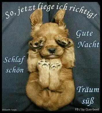 Condolence image of Claudia/ASKO ❤ 