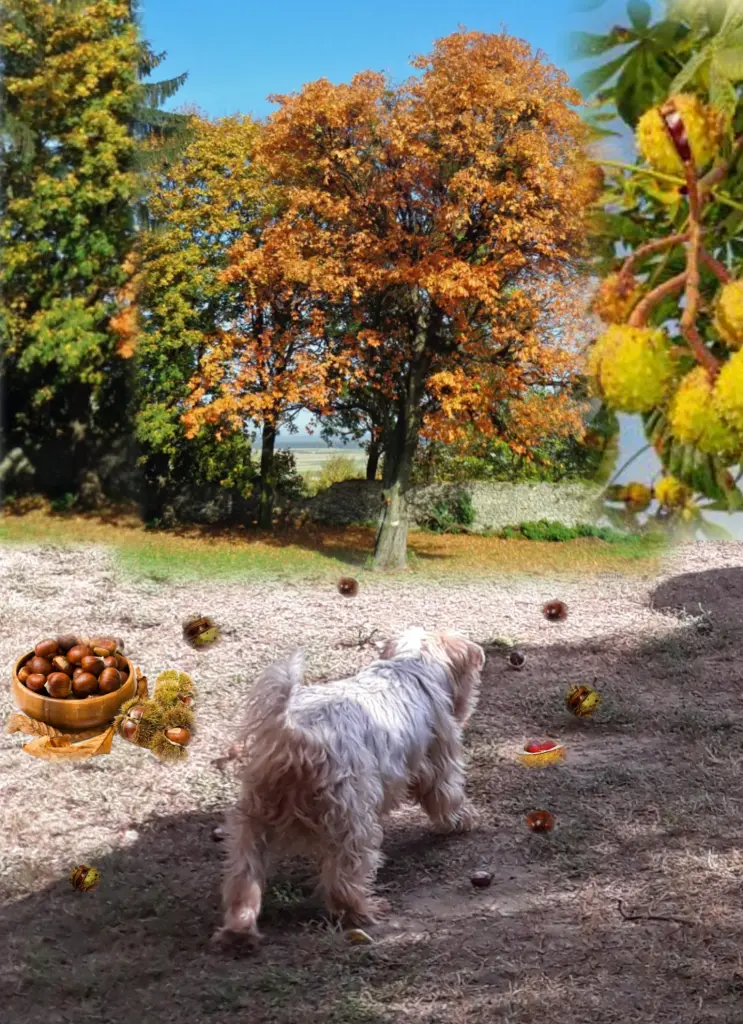 Condolence image of ❤️❤️