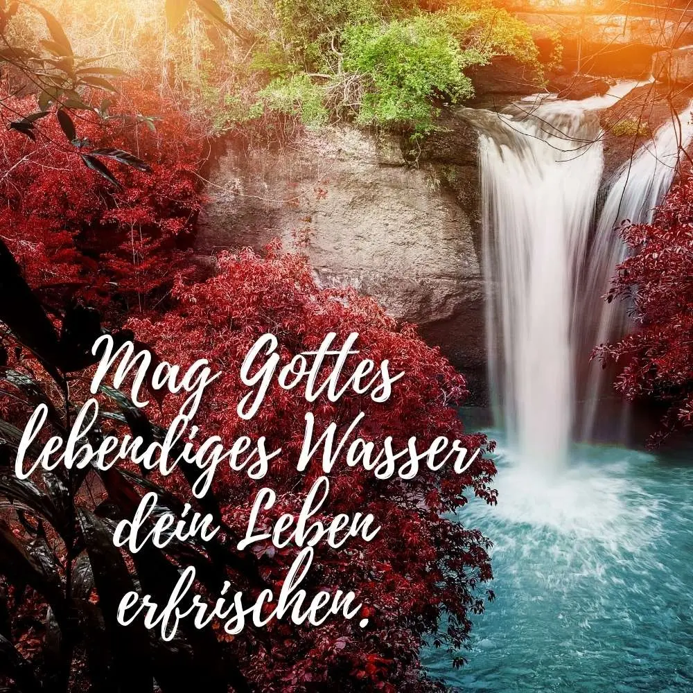 Condolence image of Unbekannt