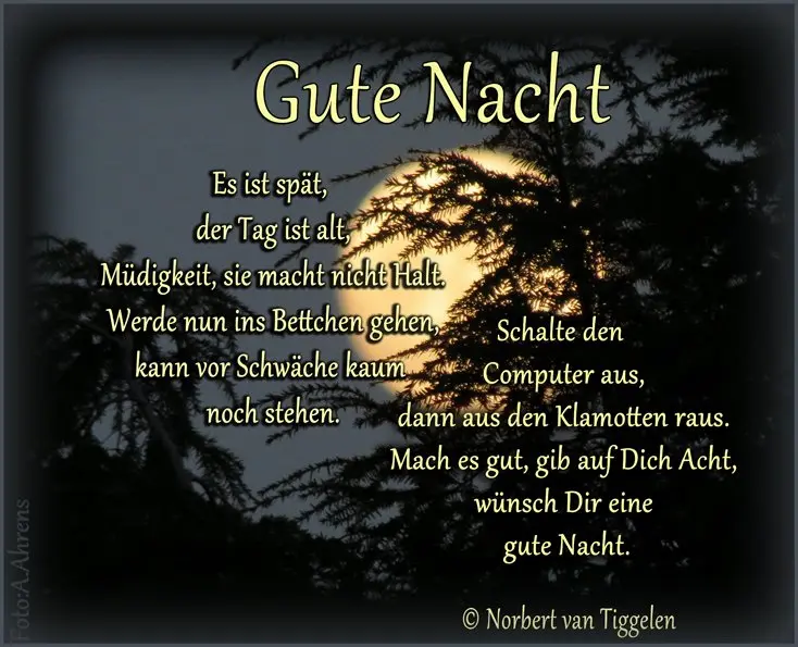 Condolence image of ❤️Luna❤️