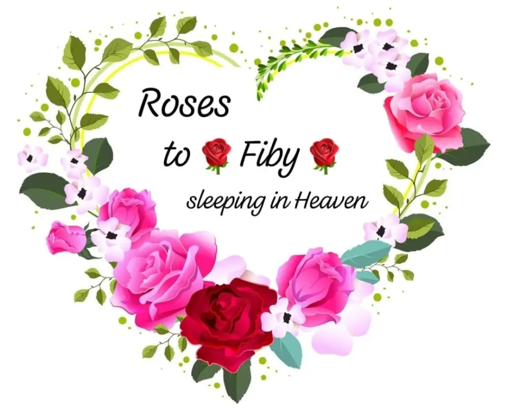 Condolence image of ❤️Angel watching over you ❤️