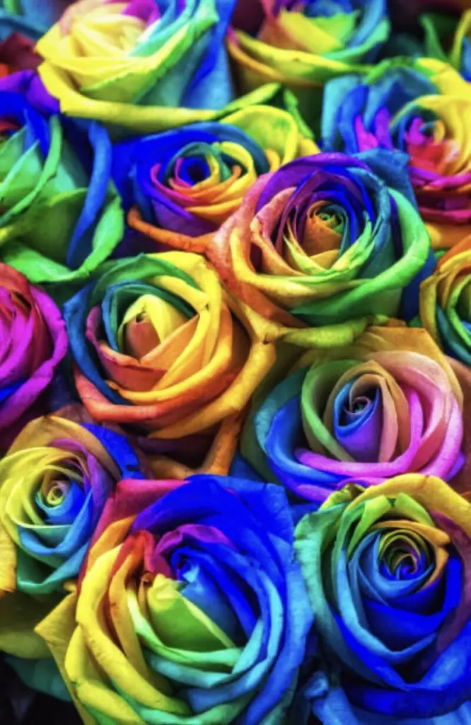 Condolence image of ASKO ❤️ 