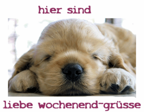 Condolence image of Claudia/ASKO ❤ 