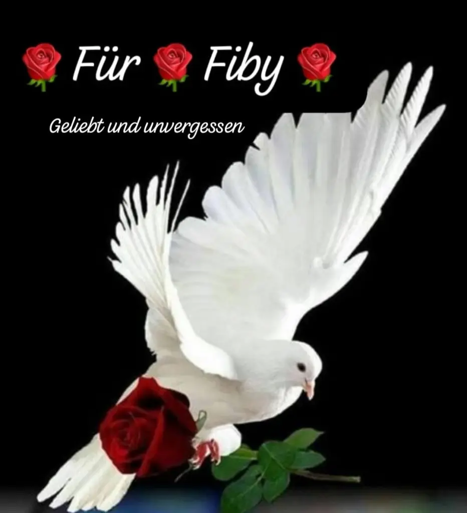 Condolence image of 36 Monate.... Sehnsucht ❤️