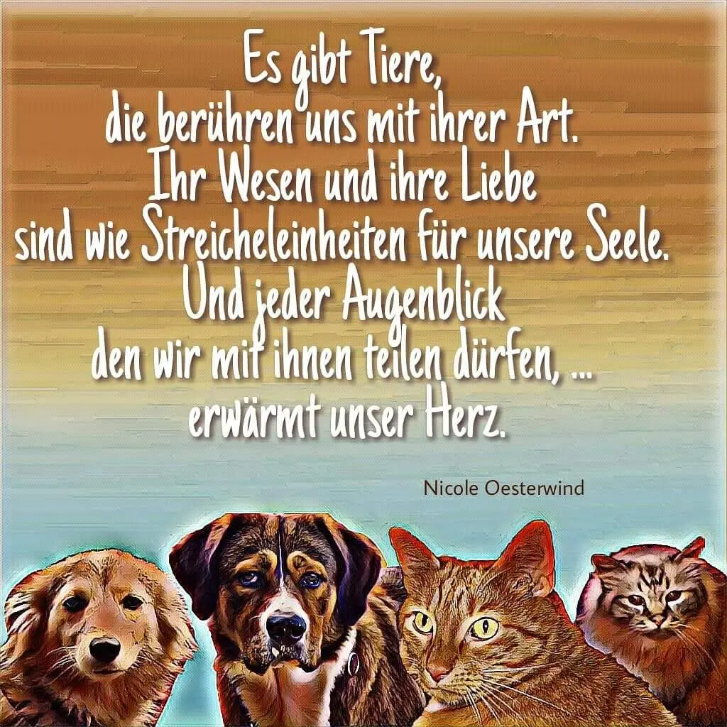 Condolence image of ❤️ Geliebt und unvergessen ❤️