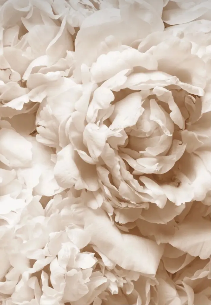 Condolence image of Für Fiby 