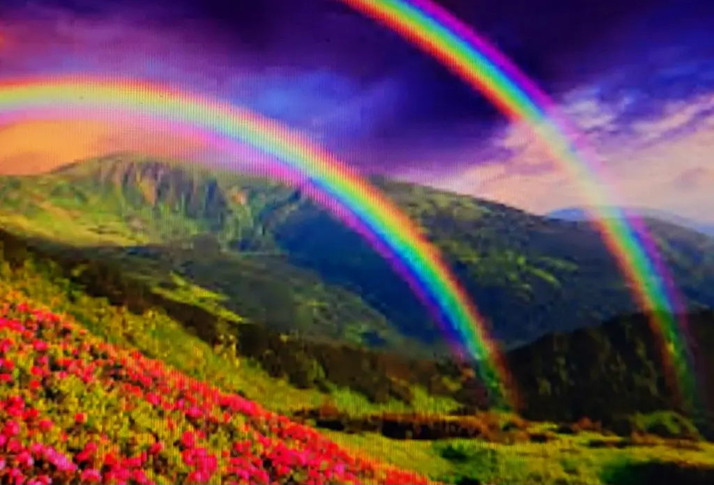 Condolence image of ⭐️❤️⭐️❤️⭐️