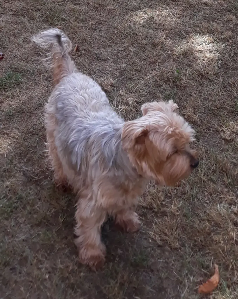 Condolence image of Jacki❤️