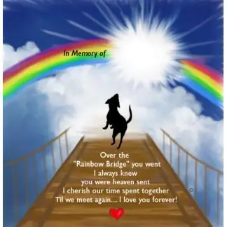 Condolence image of Fiby  ❤️