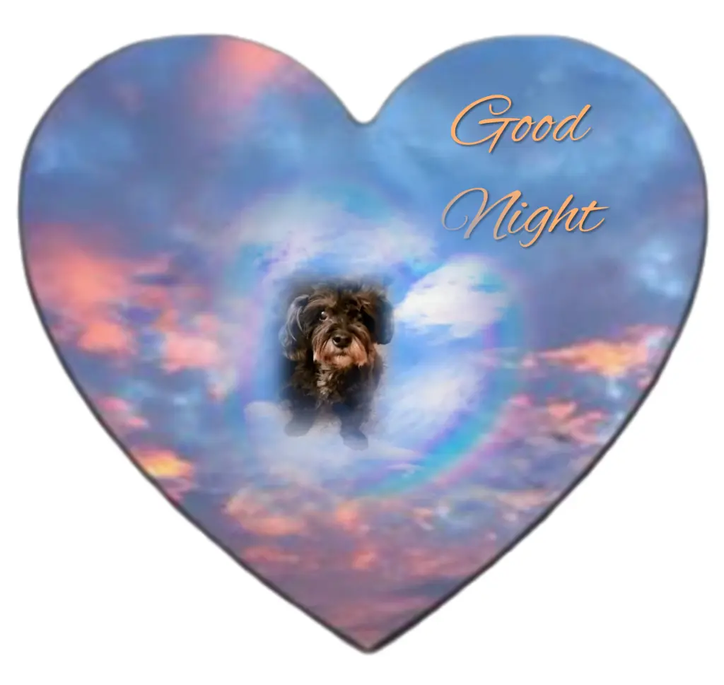 Condolence image of ❤️❤️