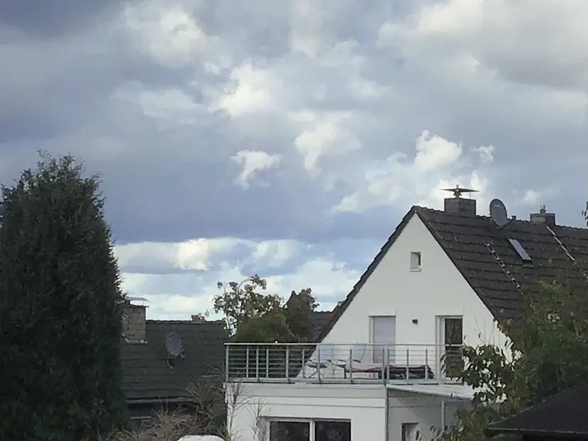 Condolence image of Angelika mit Luna ❤️