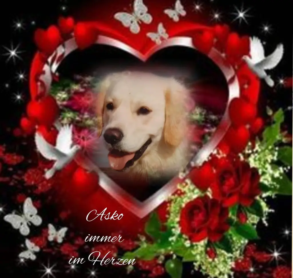 Condolence image of ASKO ❤️