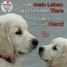 Condolence image of Claudia/ASKO ❤️