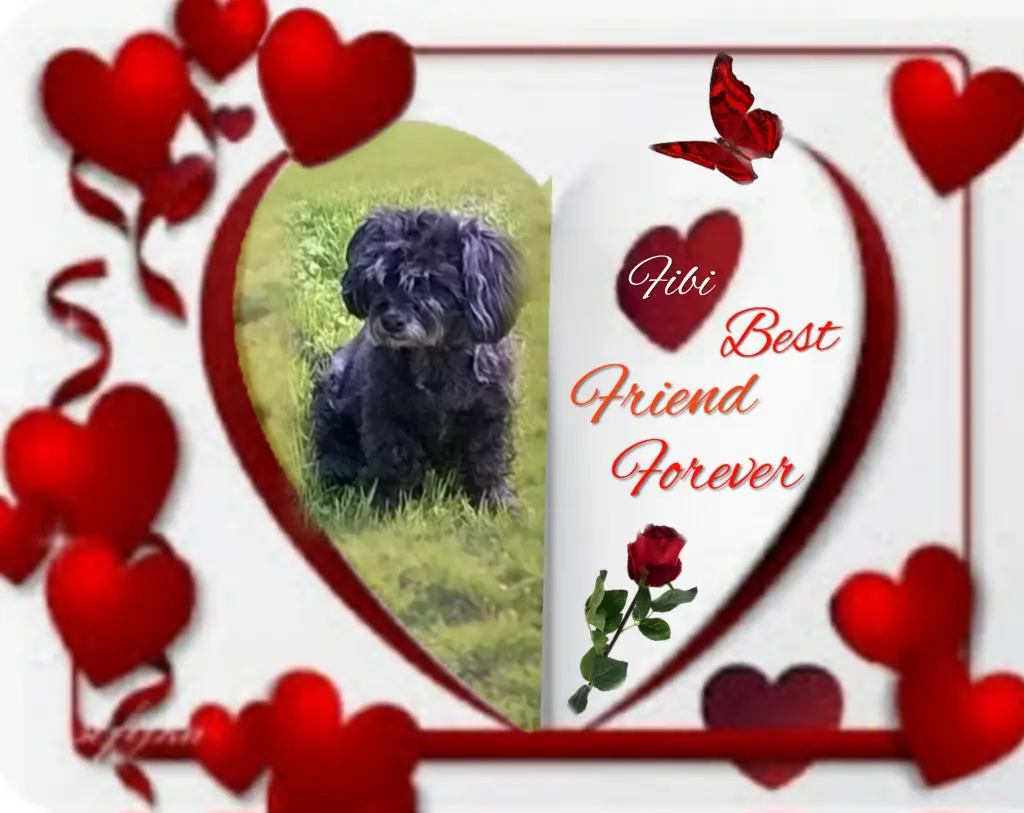 Condolence image of ❤️❤️