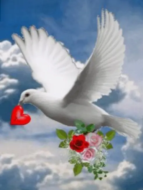 Condolence image of ❤️❤️