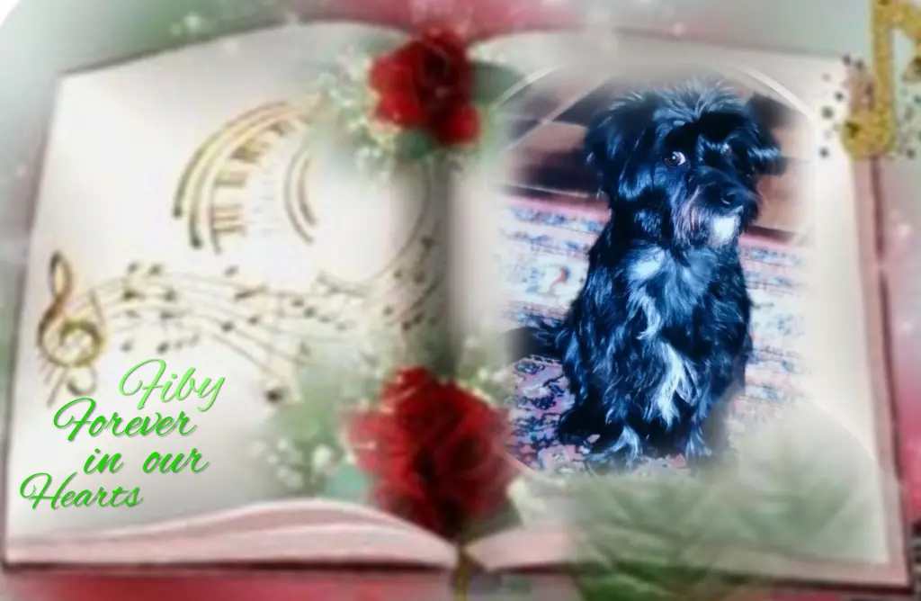 Condolence image of ❤️❤️