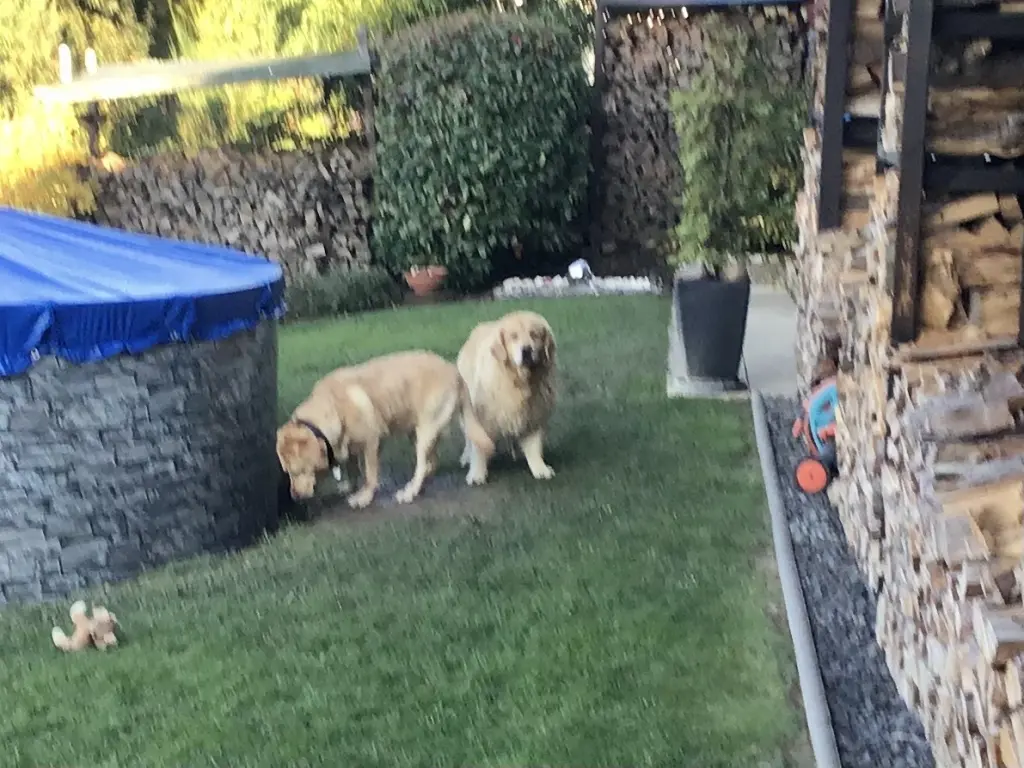 Condolence image of Luna u. Paula ❤️