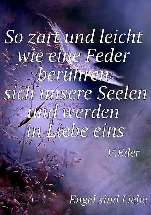 Condolence image of ❤️ Engel der Liebe ❤️